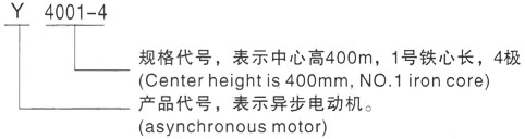 西安泰富西玛Y系列(H355-1000)高压YJTFKK5601-4三相异步电机型号说明