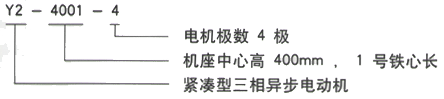 YR系列(H355-1000)高压YJTFKK5601-4三相异步电机西安西玛电机型号说明